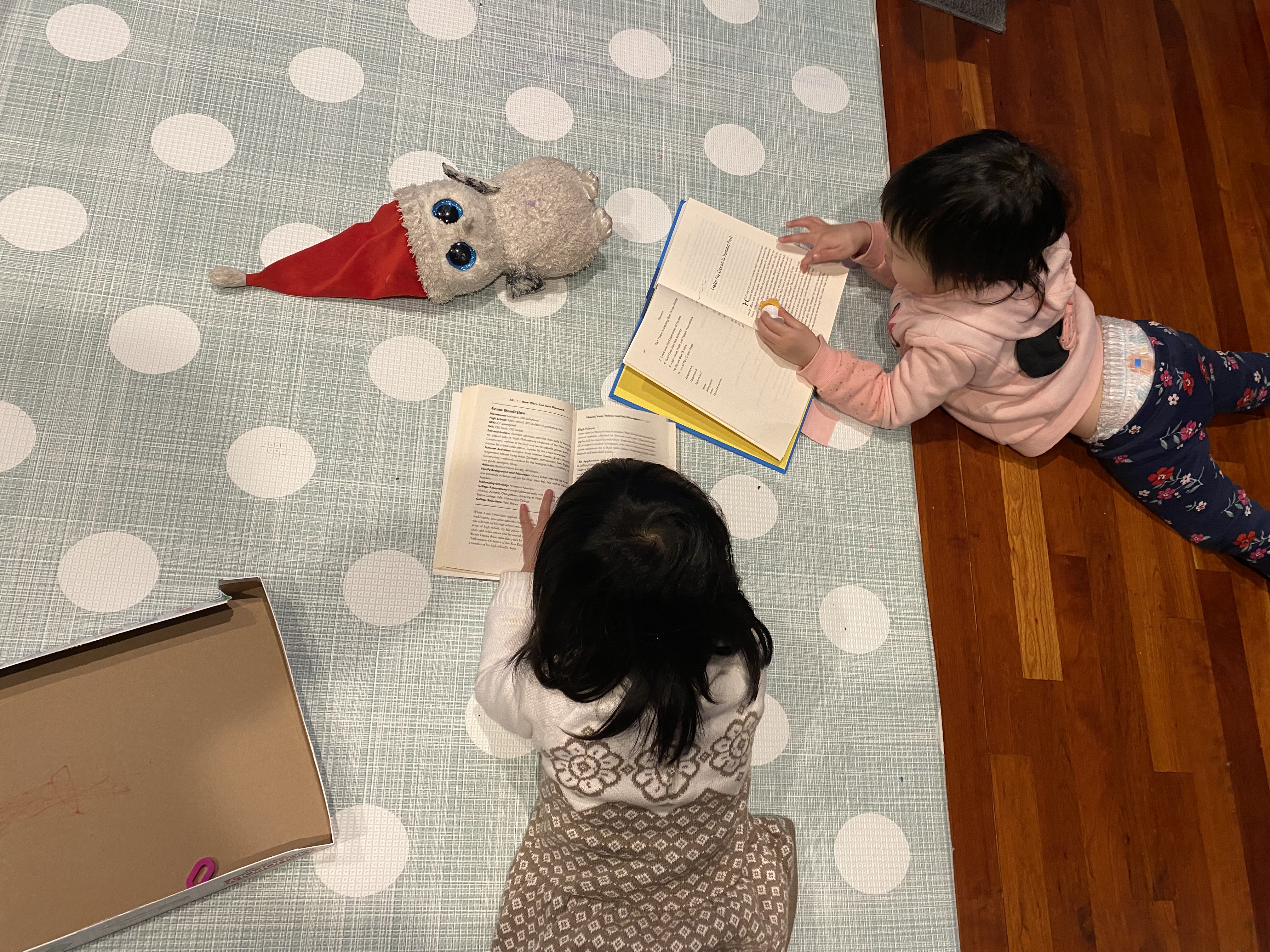 The stuffed snow owl that inspired Owlgo Math