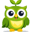 Sprout owl