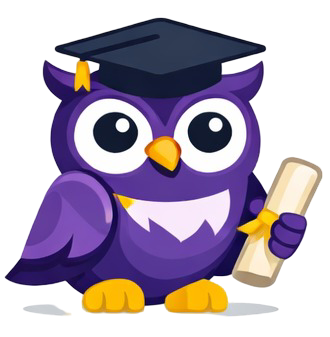 Wise Owl
